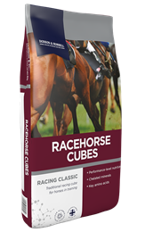 Racehorse Cubes